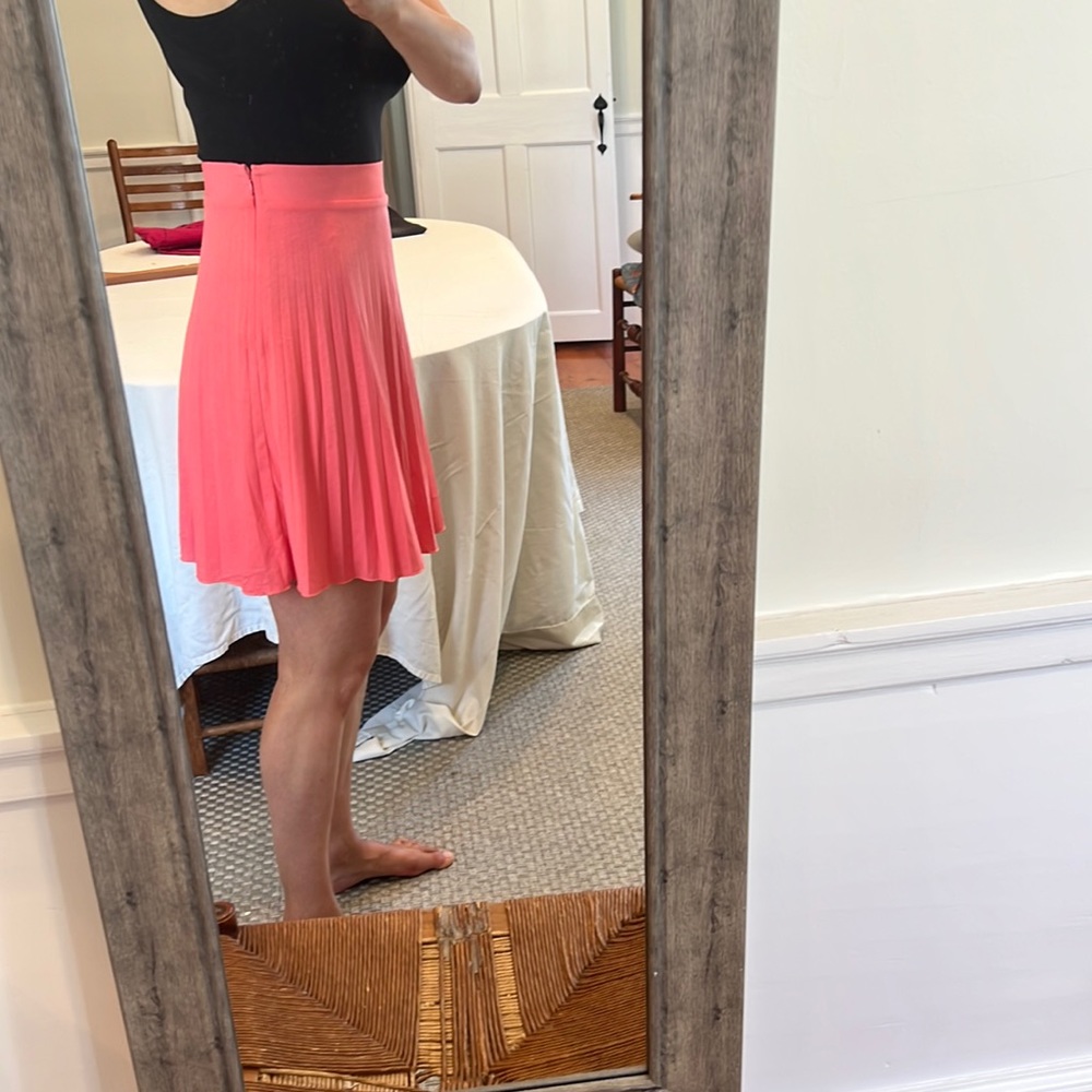 Ann Taylor pleated link skirt with lining. Size 2P. NWOT